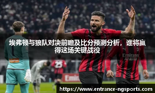 埃弗顿与狼队对决前瞻及比分预测分析，谁将赢得这场关键战役
