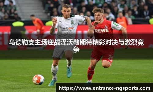 南宫体育官网